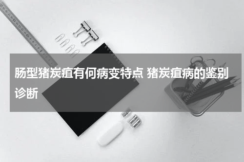 肠型猪炭疽有何病变特点 猪炭疽病的鉴别诊断