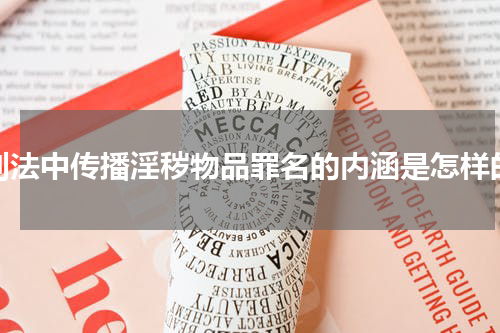 刑法中传播淫秽物品罪名的内涵是怎样的