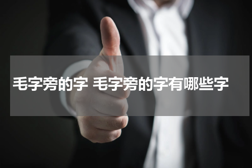 毛字旁的字 毛字旁的字有哪些字