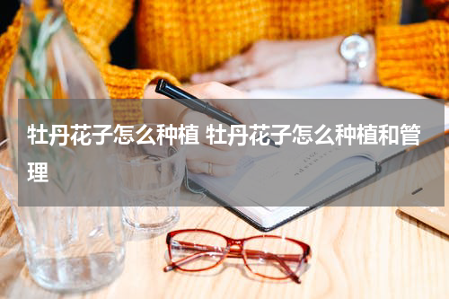 牡丹花子怎么种植 牡丹花子怎么种植和管理